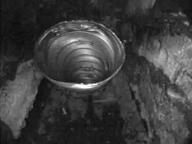 videoispezione canna fumaria